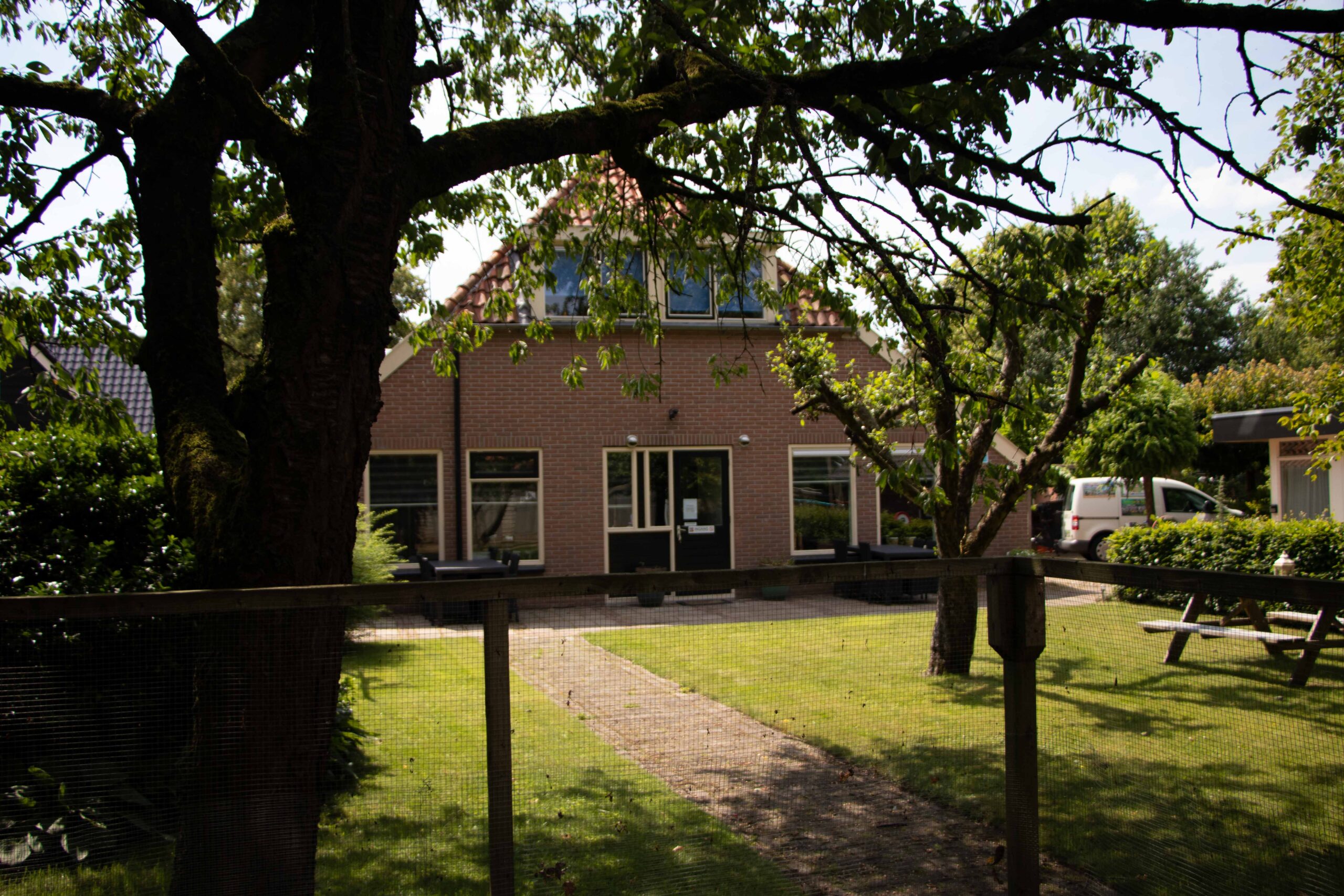 50VitaalPlus